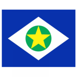 Venda de Bandeira do Mato Grosso